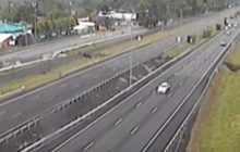 Kaketoe inspecteert verkeerscamera