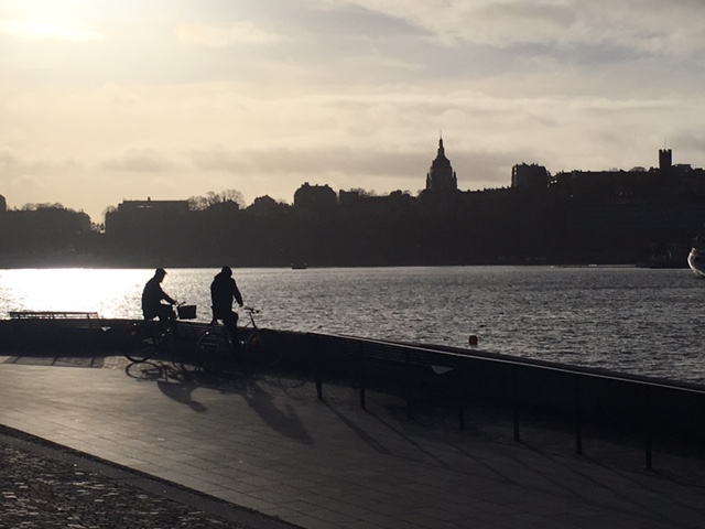 Cycling in Stockholm